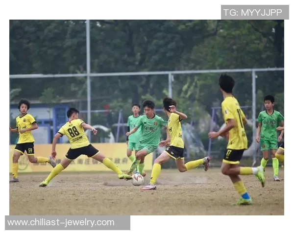 足球梦想与青春热血交织的故事：追逐绿茵场上的荣耀与友情